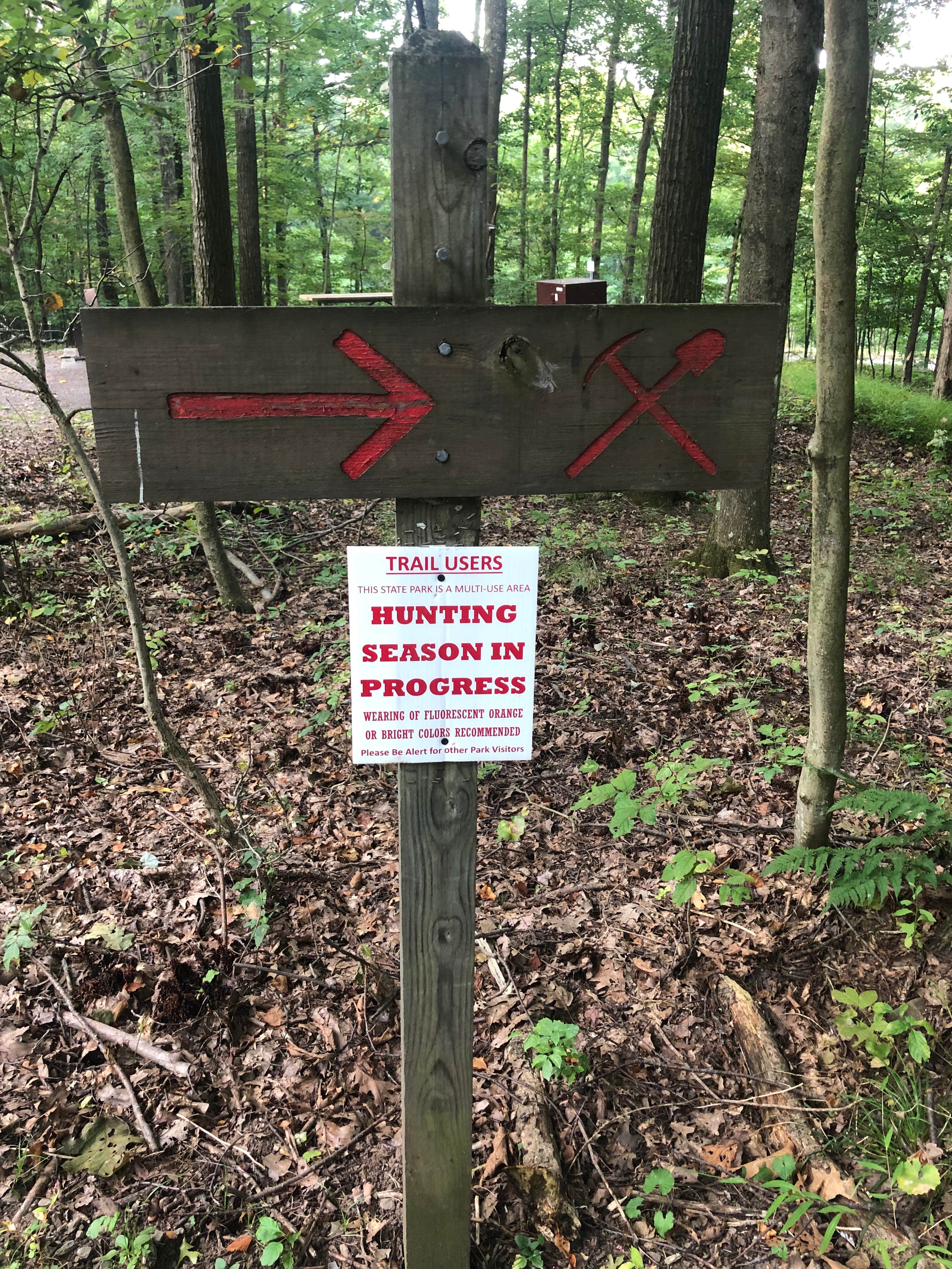 Camper submitted image from Deep Creek Lake State Park Campground - 5