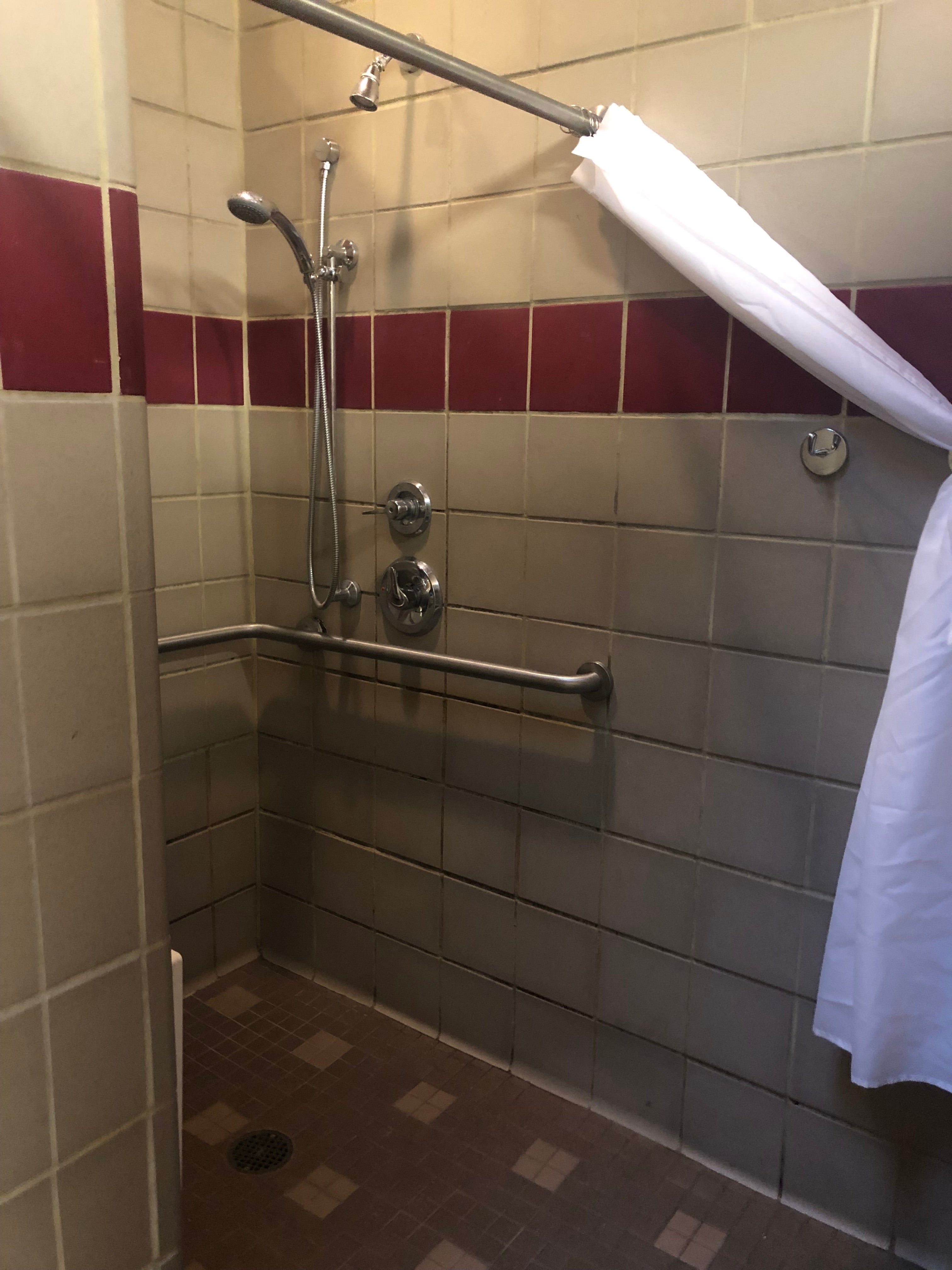 Handicap accessible shower in the Delphia Loop