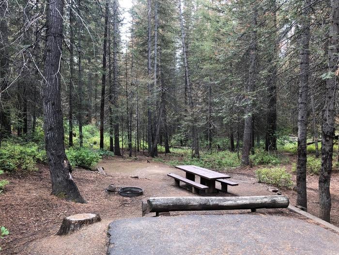 Camper submitted image from Boise National Forest Antelope Campground - 5
