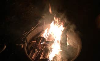 Samantha M.'s photo at Baker Creek Campground — Great Basin National Park near Great Basin National Park