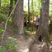 Review photo of Devil's Den State Park Campground by Brian E., August 6, 2017