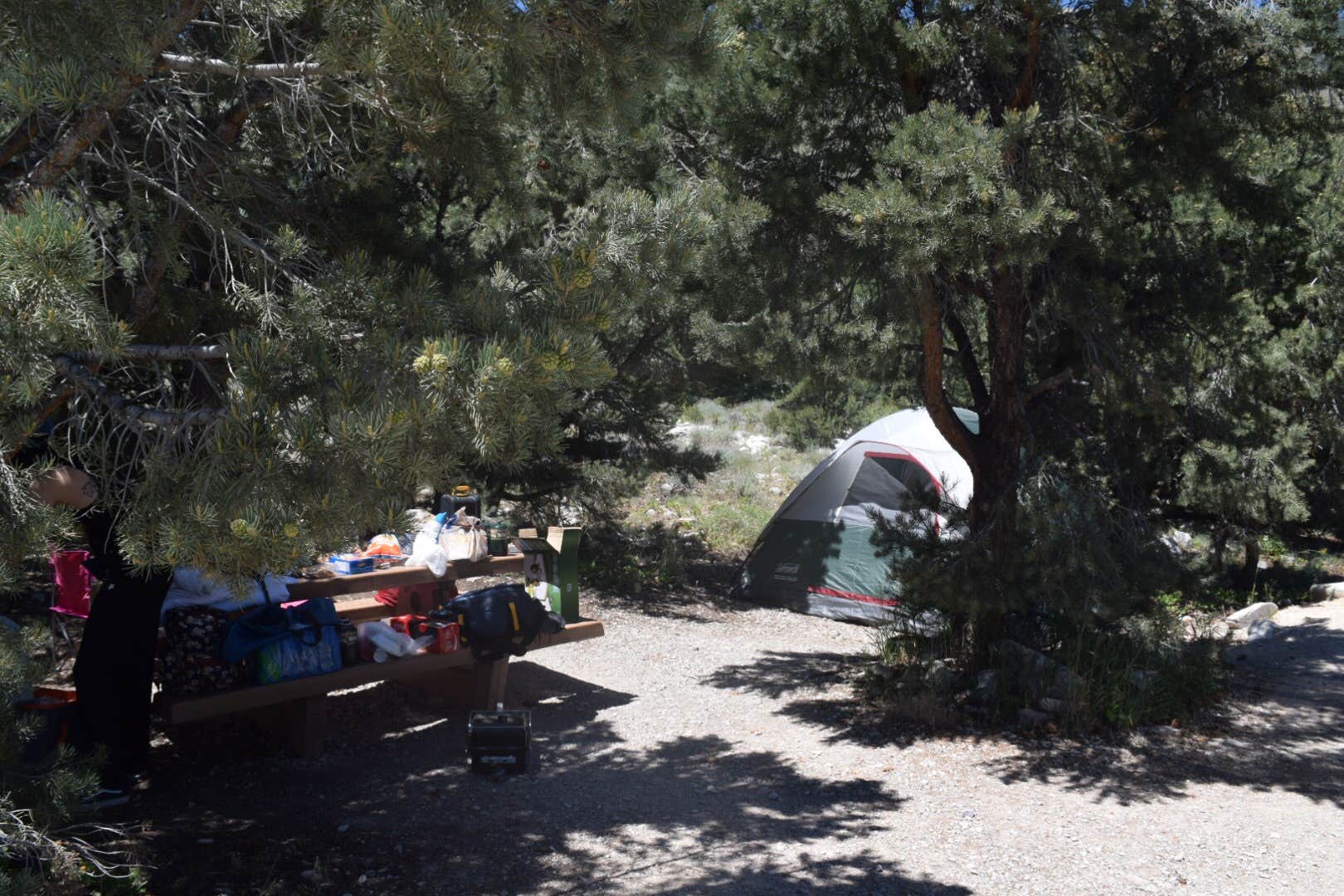 Samantha M.'s photo at Baker Creek Campground — Great Basin National Park near Ruth, NV