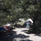 Review photo of Baker Creek Campground — Great Basin National Park by Samantha M., June 29, 2016