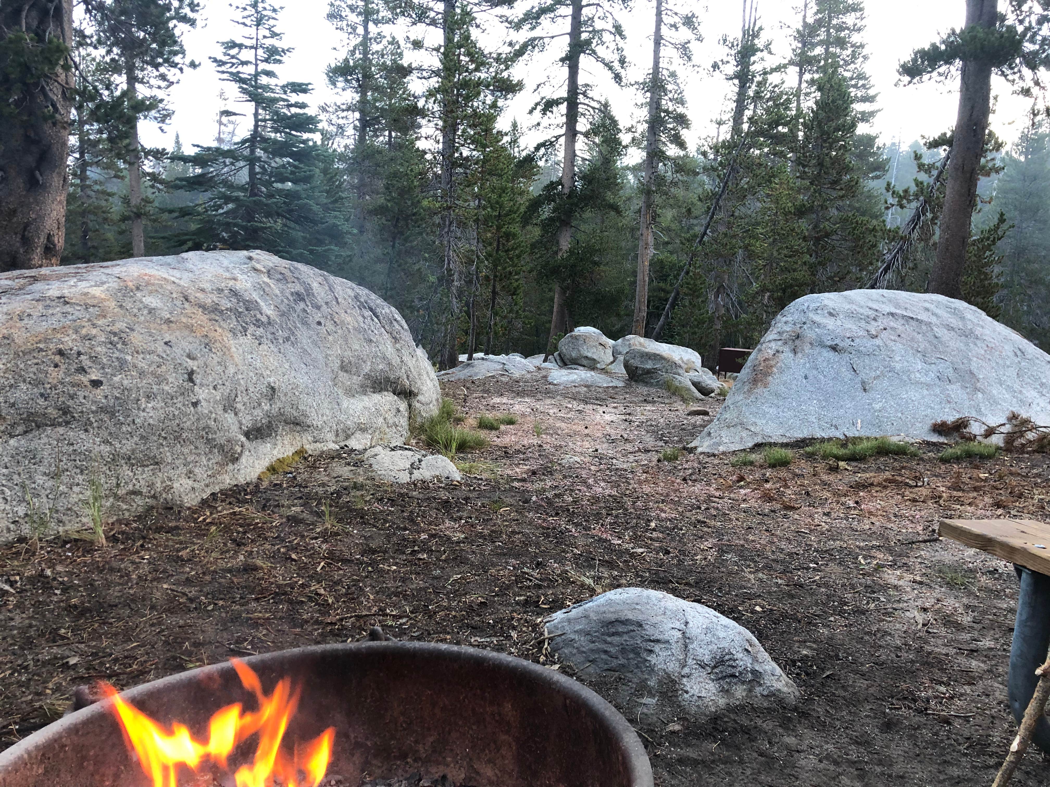 Camper submitted image from White Wolf Campground — Yosemite National Park - 4
