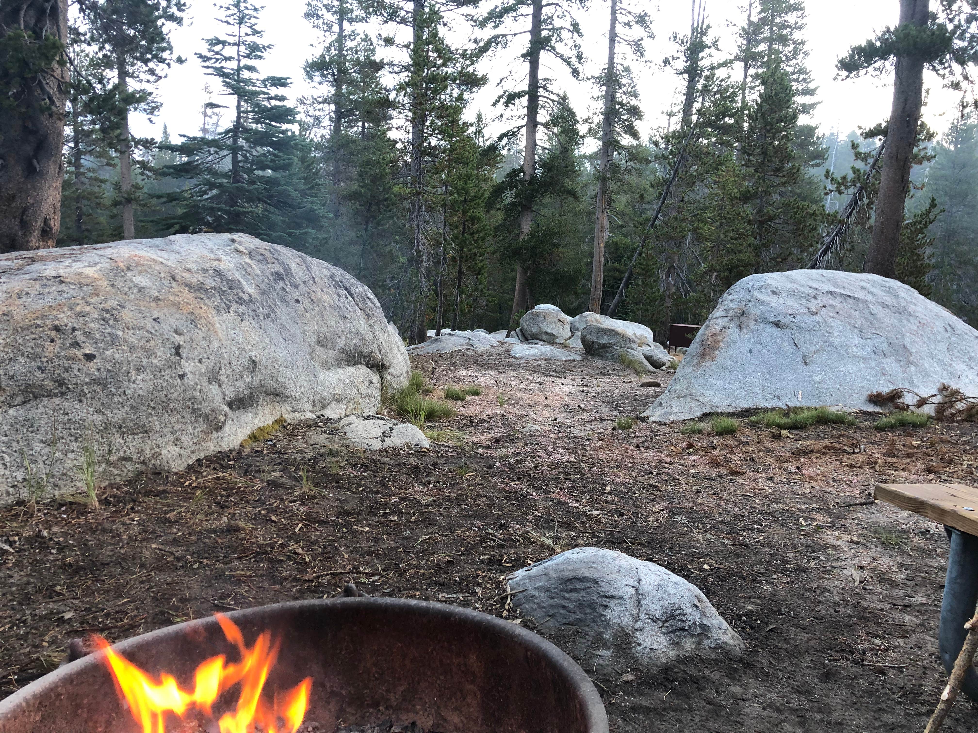 Camper submitted image from White Wolf - Yosemite National Park - 4