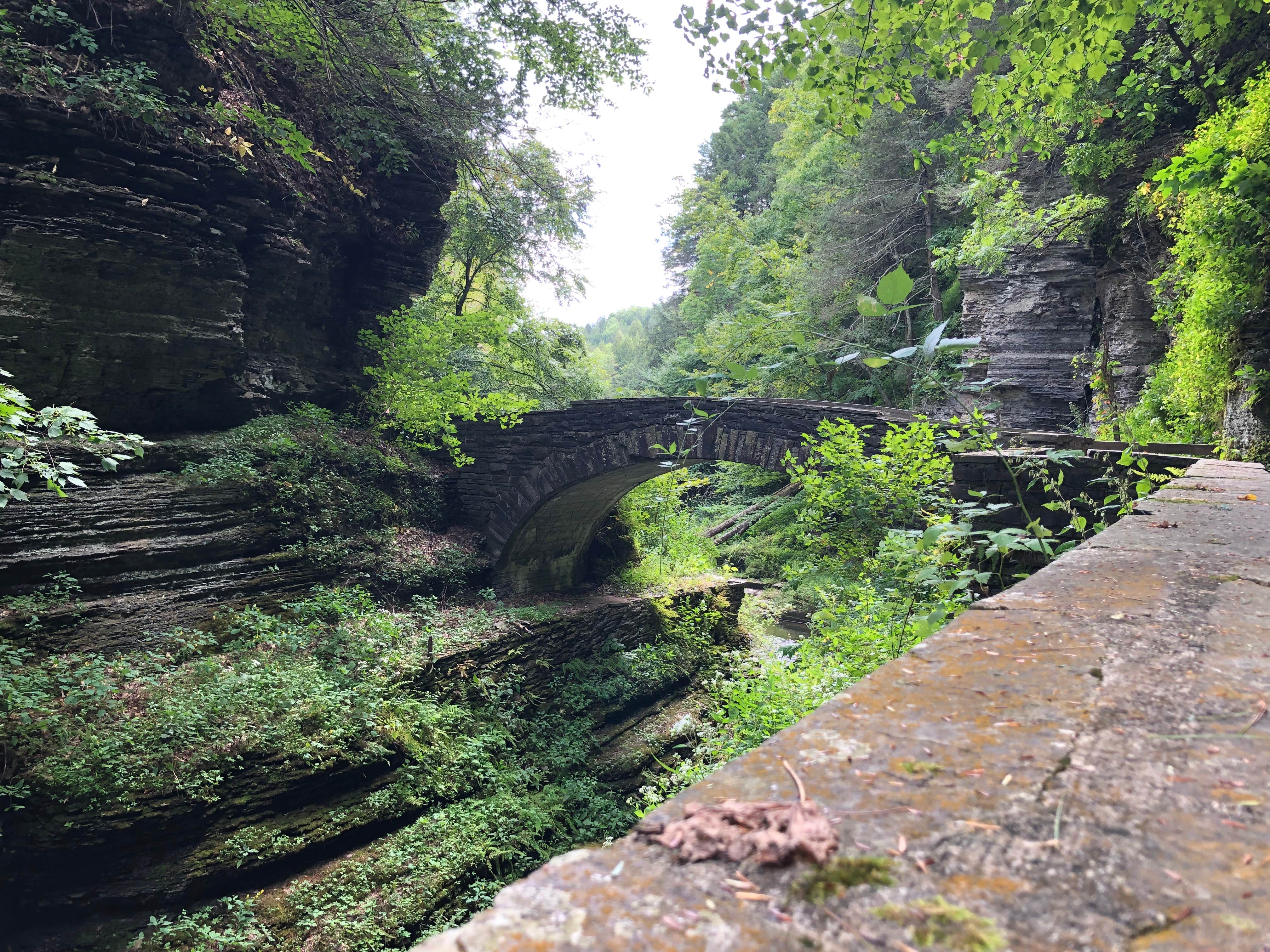 Camper-submitted photo at Taughannock Falls State Park Campground near Brooktondale, NY