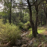 Review photo of Sycamore Campground by Monique R., September 13, 2019