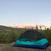 Review photo of Prospector Campground by Shona M., September 13, 2019