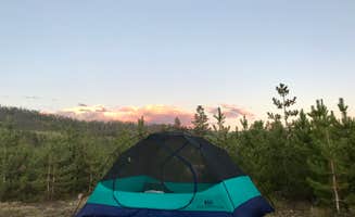 Shona M.'s photo at Prospector Campground near Frisco, CO