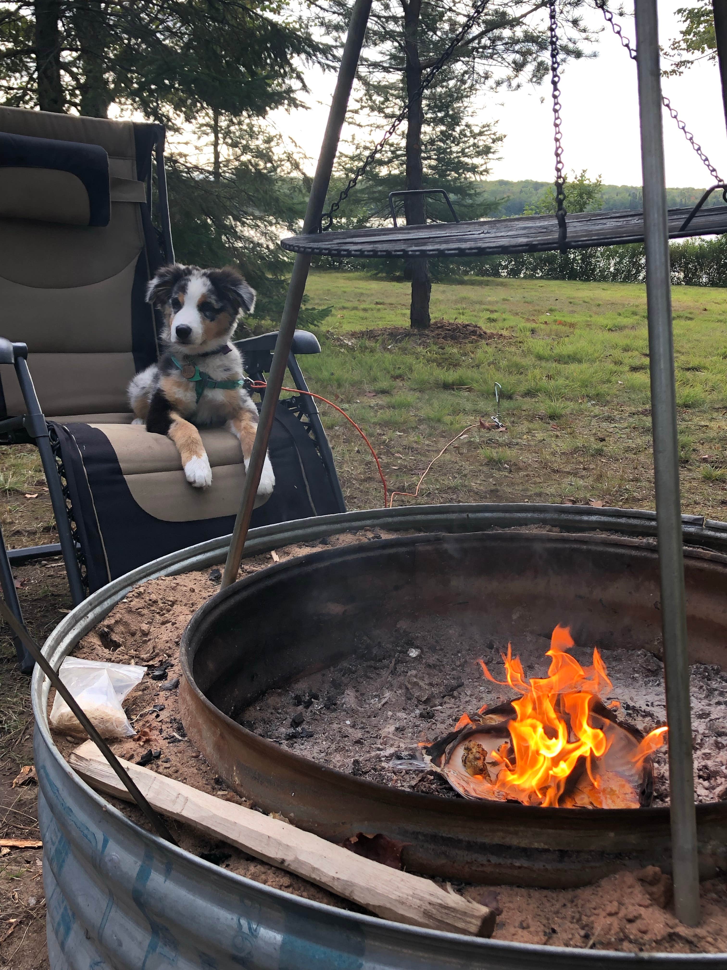 Katilyn P.'s photo of camping with pets at Twin Lakes State Park Campground near Keweenaw Bay, MI