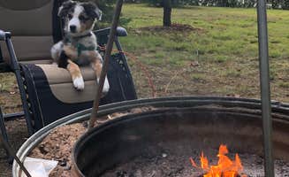 Katilyn P.'s photo of camping with pets at Twin Lakes State Park Campground near Calumet, MI