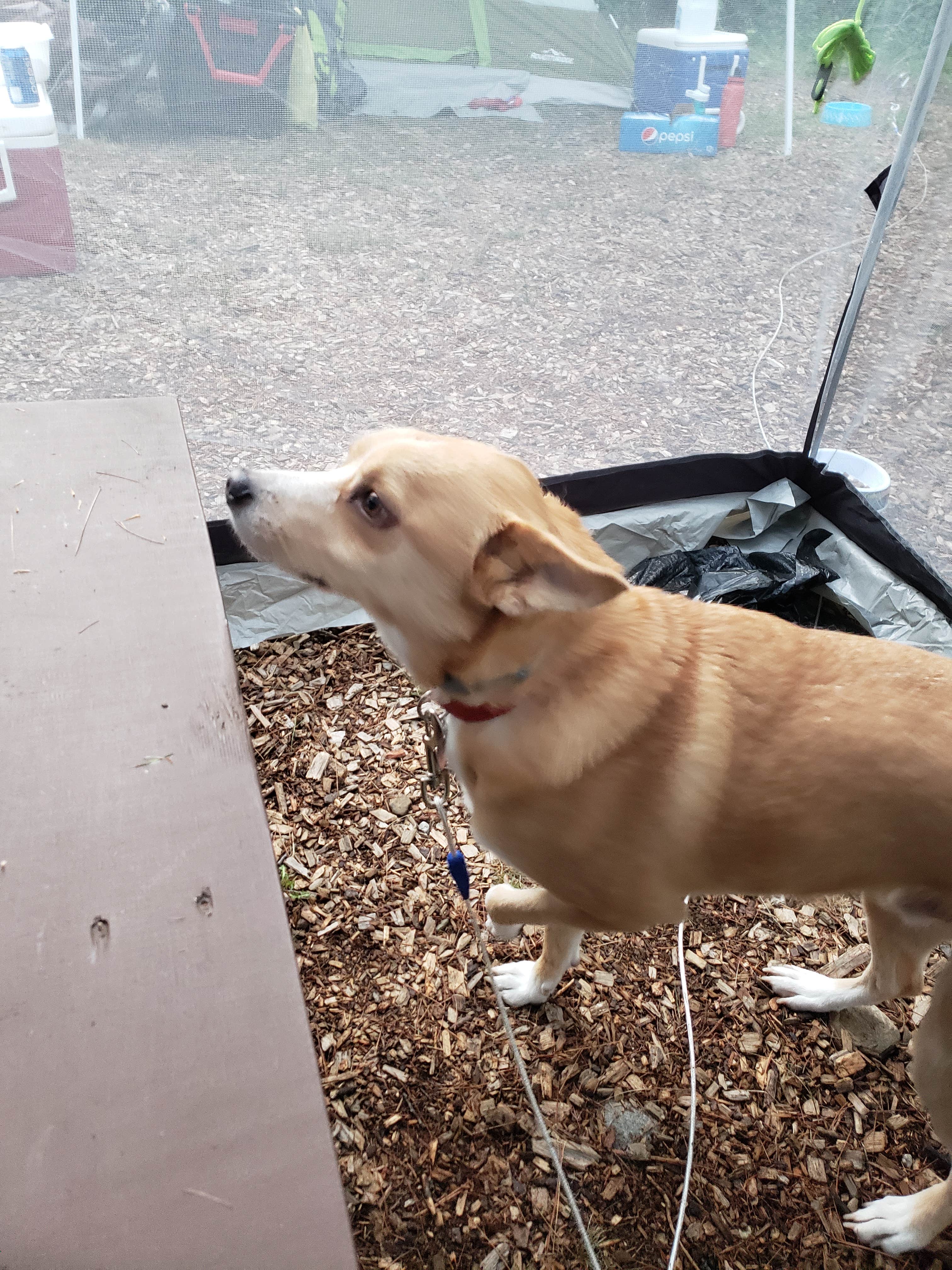 Camper-submitted photo at Massasoit State Park Campground near Portsmouth, RI