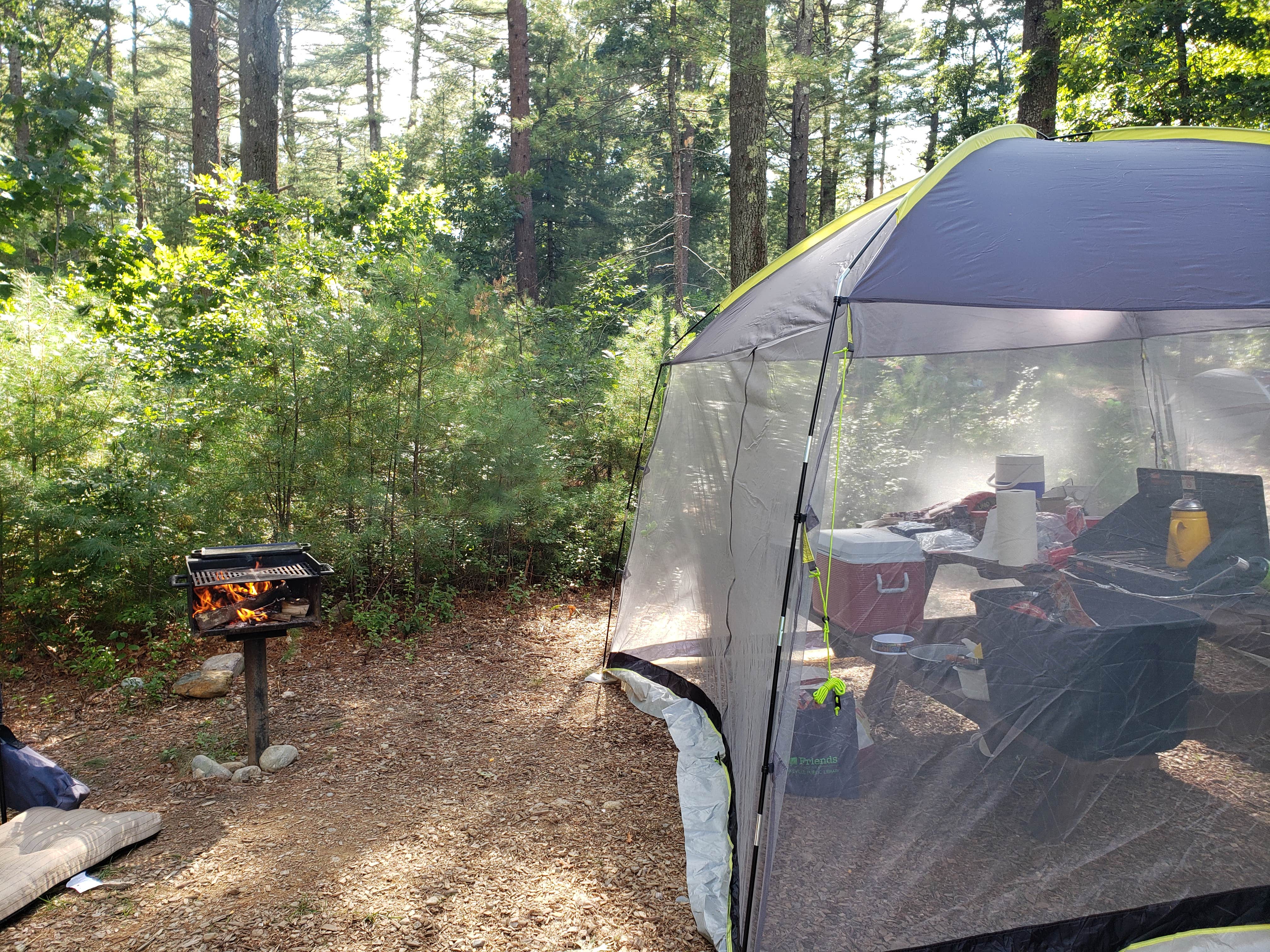Tara A.'s photo at Massasoit State Park Campground near Portsmouth, RI