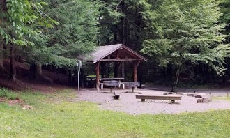 Camping near Black Mountain Campground: Briar Bottom Group Campground, Pisgah National Forest, North Carolina