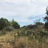 Review photo of Fortress Cliff Primitive — Palo Duro Canyon State Park by Dereyk + Sarah P., September 14, 2019