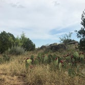 Review photo of Palo Duro Canyon State Park Campground by Dereyk + Sarah P., September 14, 2019