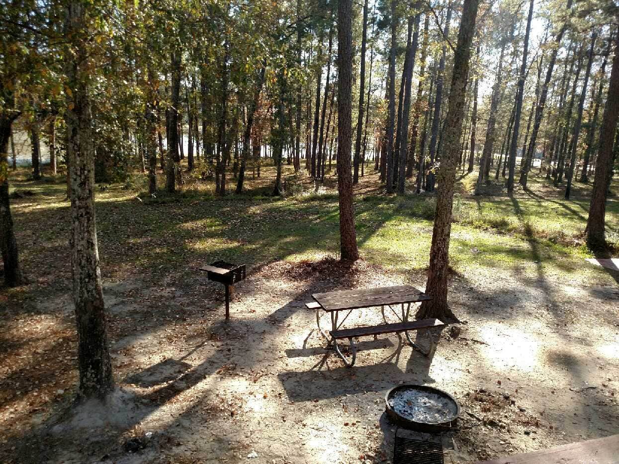 Camper submitted image from Tombigbee Lake - AC Indian Reservation - 2