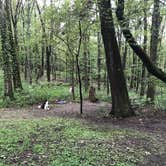 Review photo of Raccoon Creek State Park Campground by Renee R., September 14, 2019