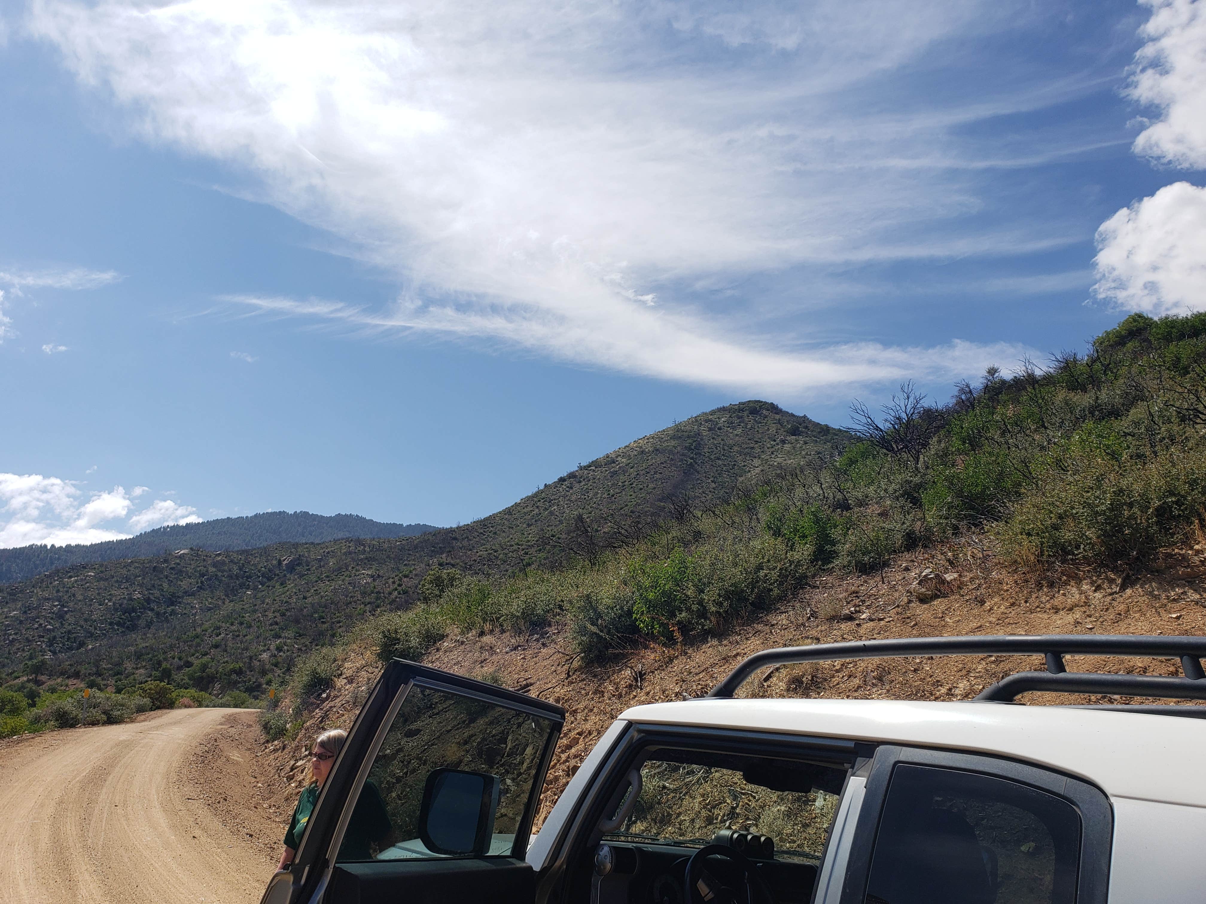 Camper submitted image from Pioneer Pass Campground - 2