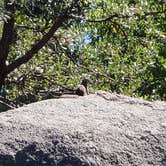 Review photo of Pioneer Pass Campground by Michael L., September 14, 2019