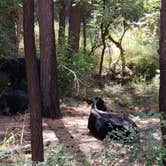 Review photo of Pioneer Pass Campground by Michael L., September 14, 2019