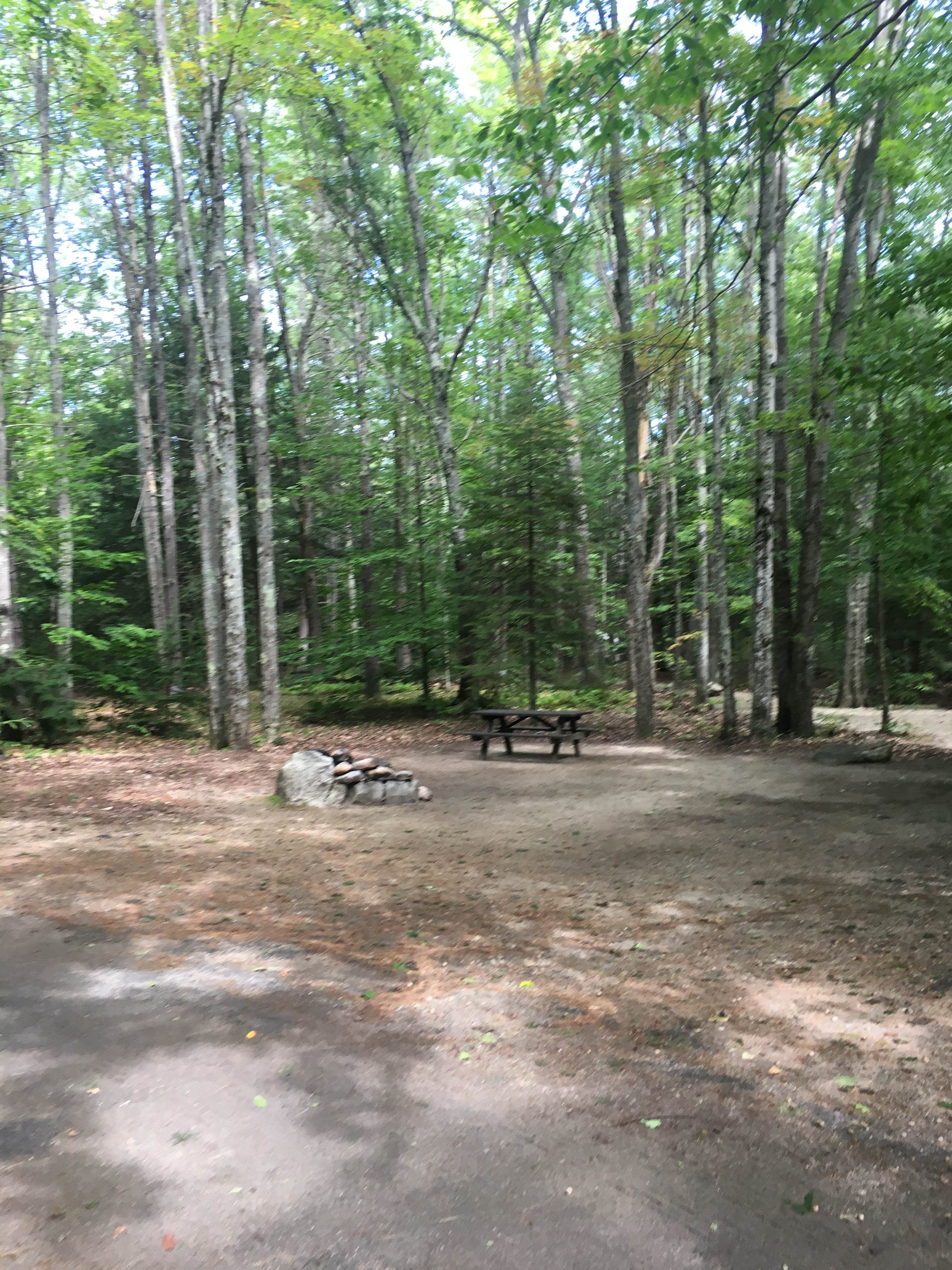 Camper submitted image from Bradbury Mountain State Park Campground - 3