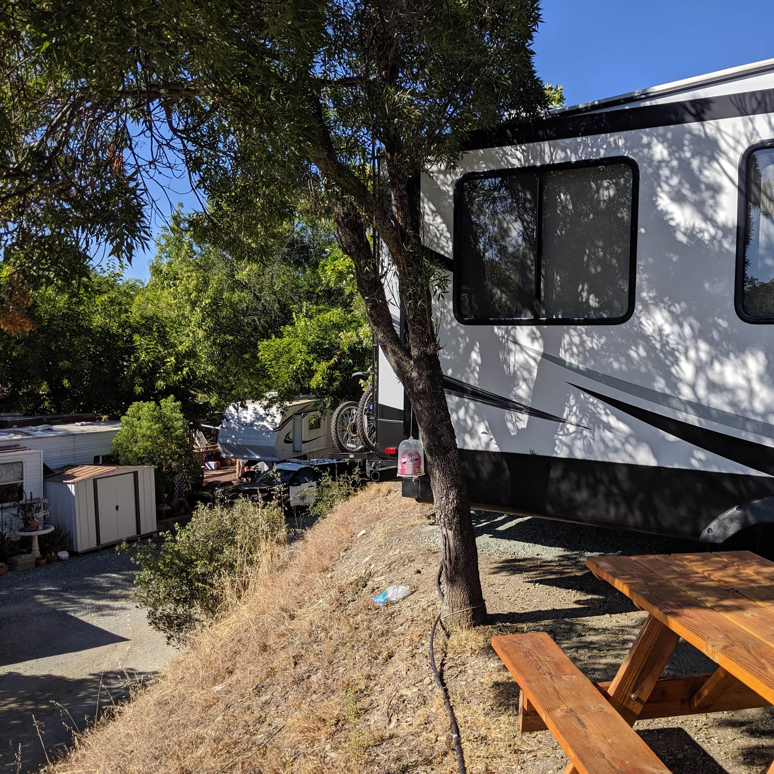 Lake Amador Resort Camping | The Dyrt