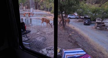 Lake Amador Campground