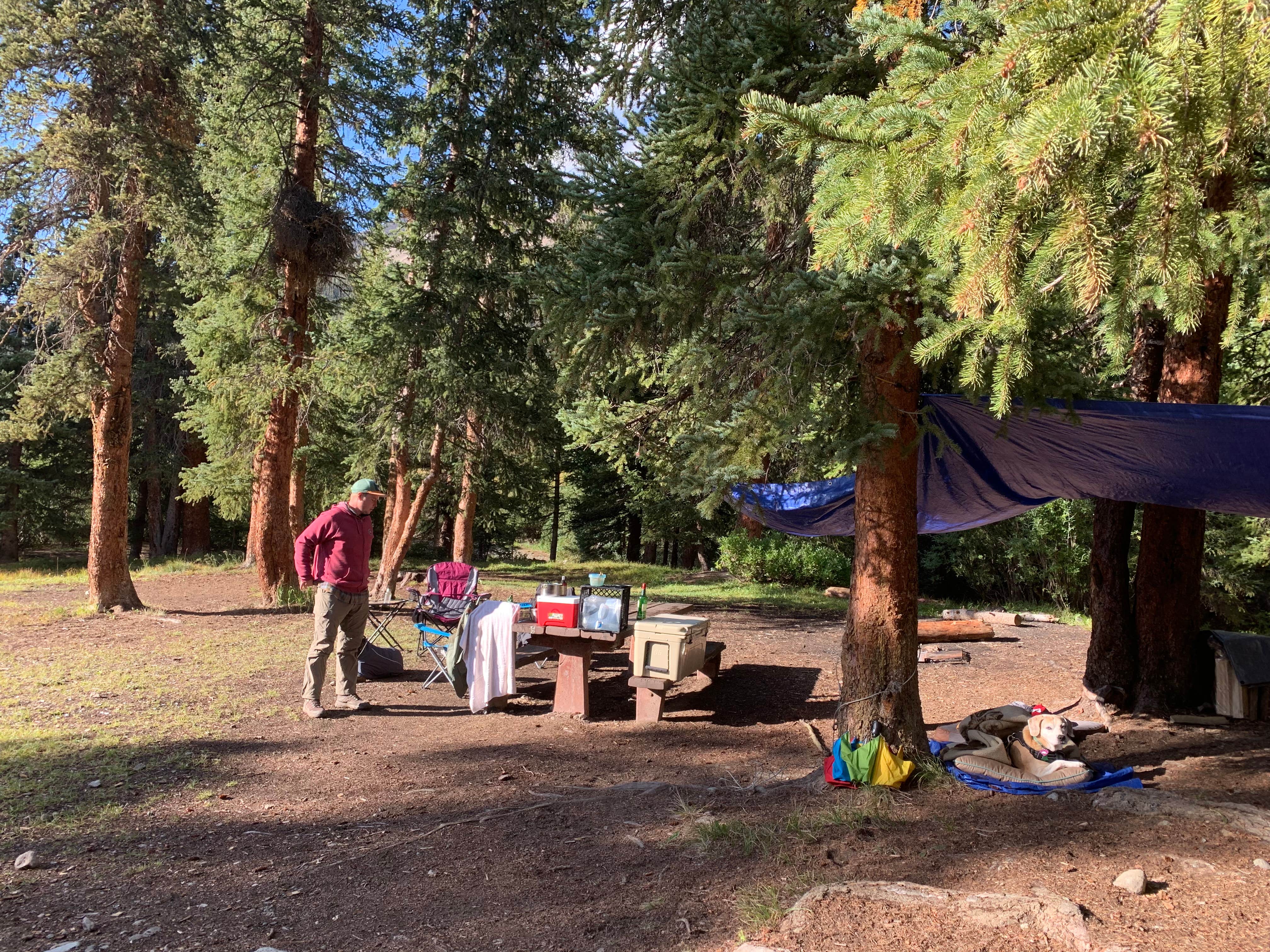 Mishel W.'s photo of tent camping at Portal Campground near Gunnison, CO