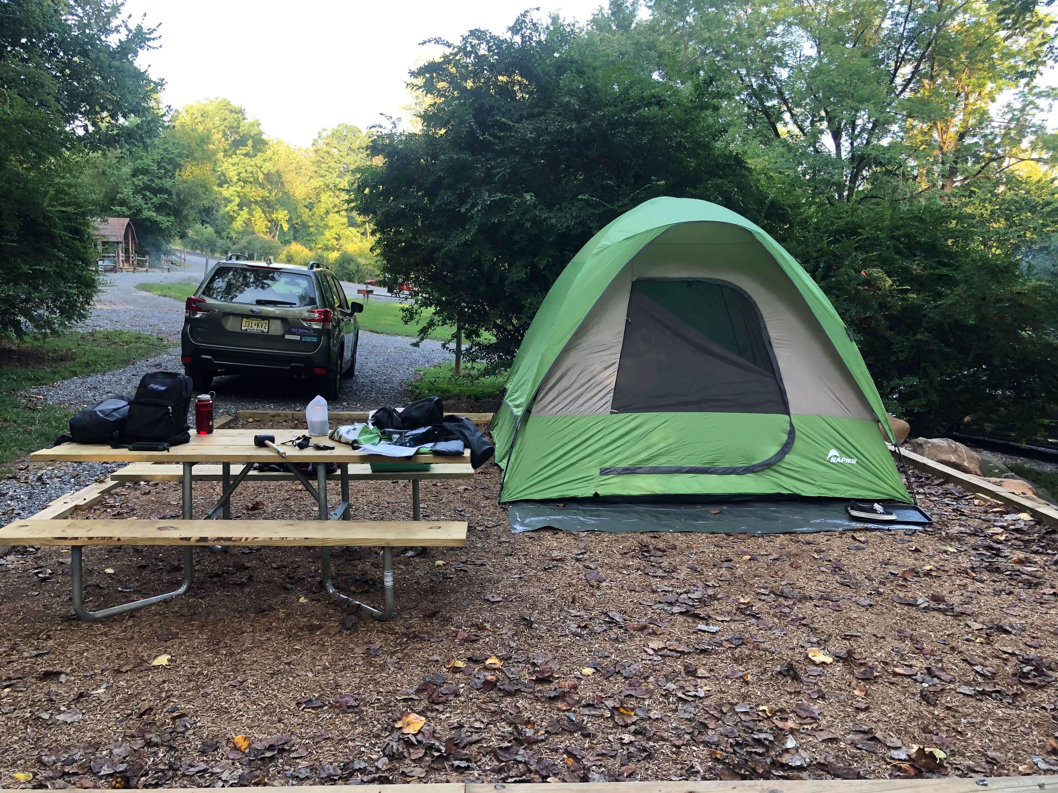 Camper submitted image from Elizabethtown-Hershey KOA - 4