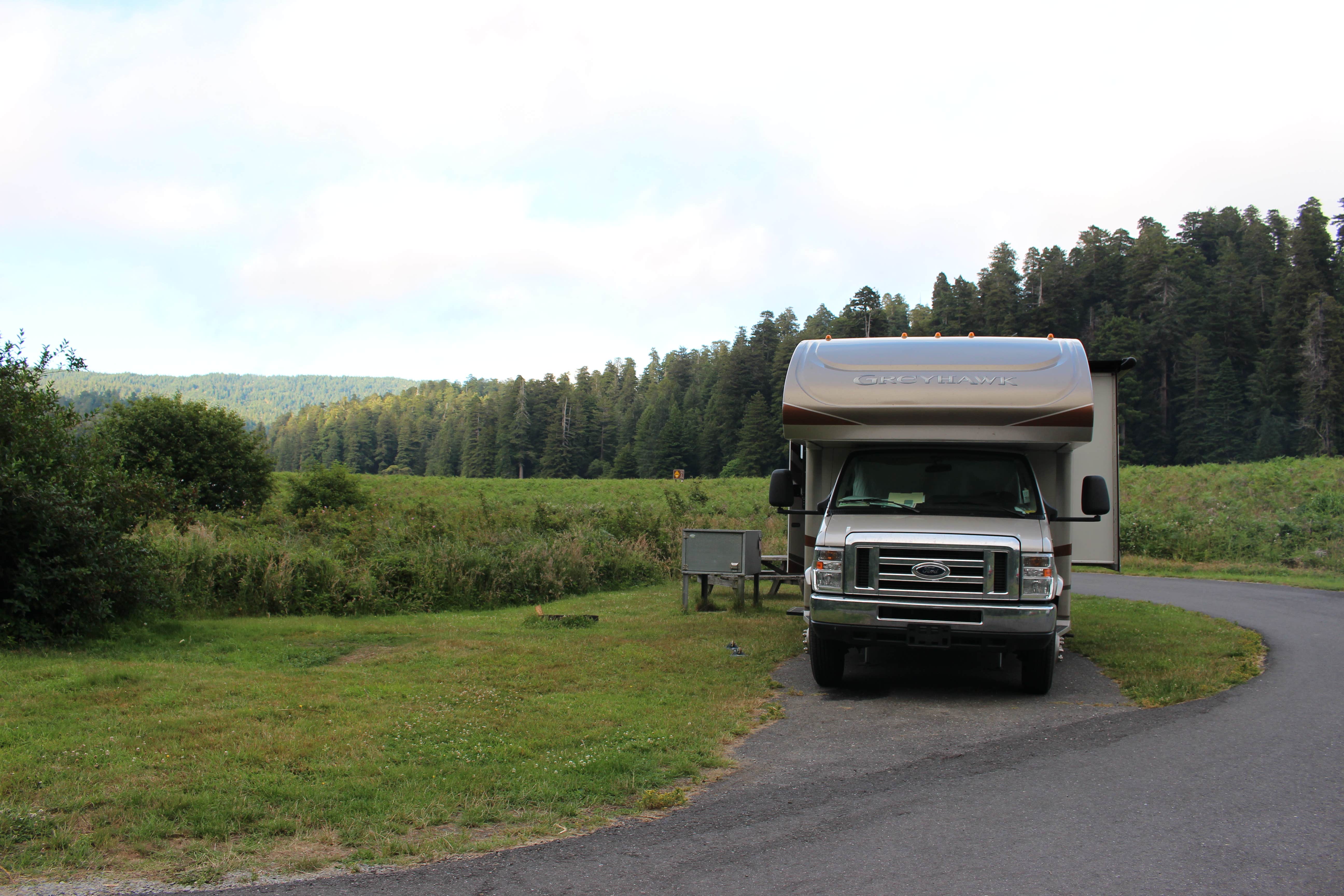 Camper submitted image from Elk Prairie Campground — Prairie Creek Redwoods State Park - 3