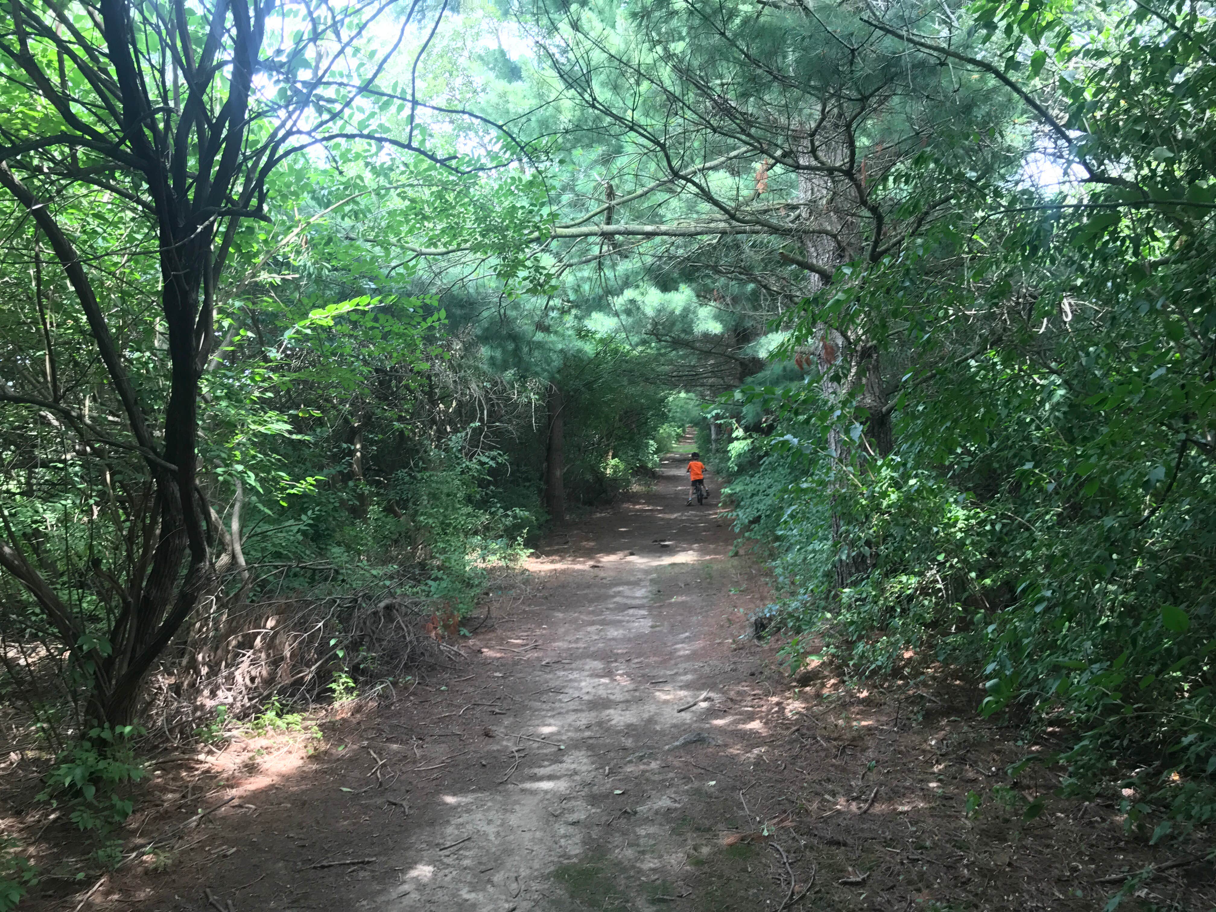 Jubilee College State Park photo 4