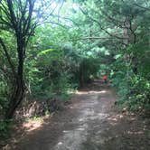 Review photo of Comlara County Park by Melissa B., August 7, 2017