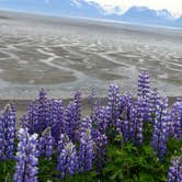Review photo of Homer Spit Campground by Aimee H., August 7, 2017