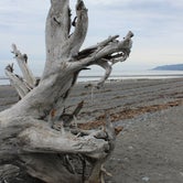 Review photo of Homer Spit Campground by Aimee H., August 7, 2017