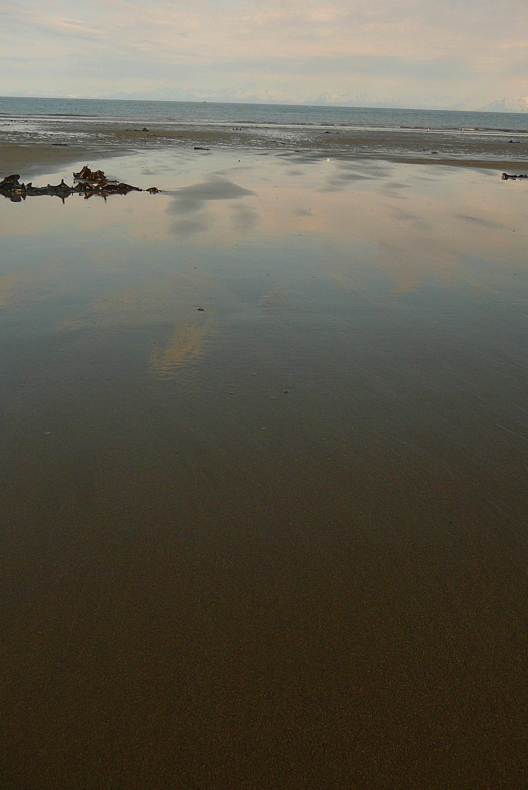 Camper-submitted photo at Homer Spit Campground in Alaska