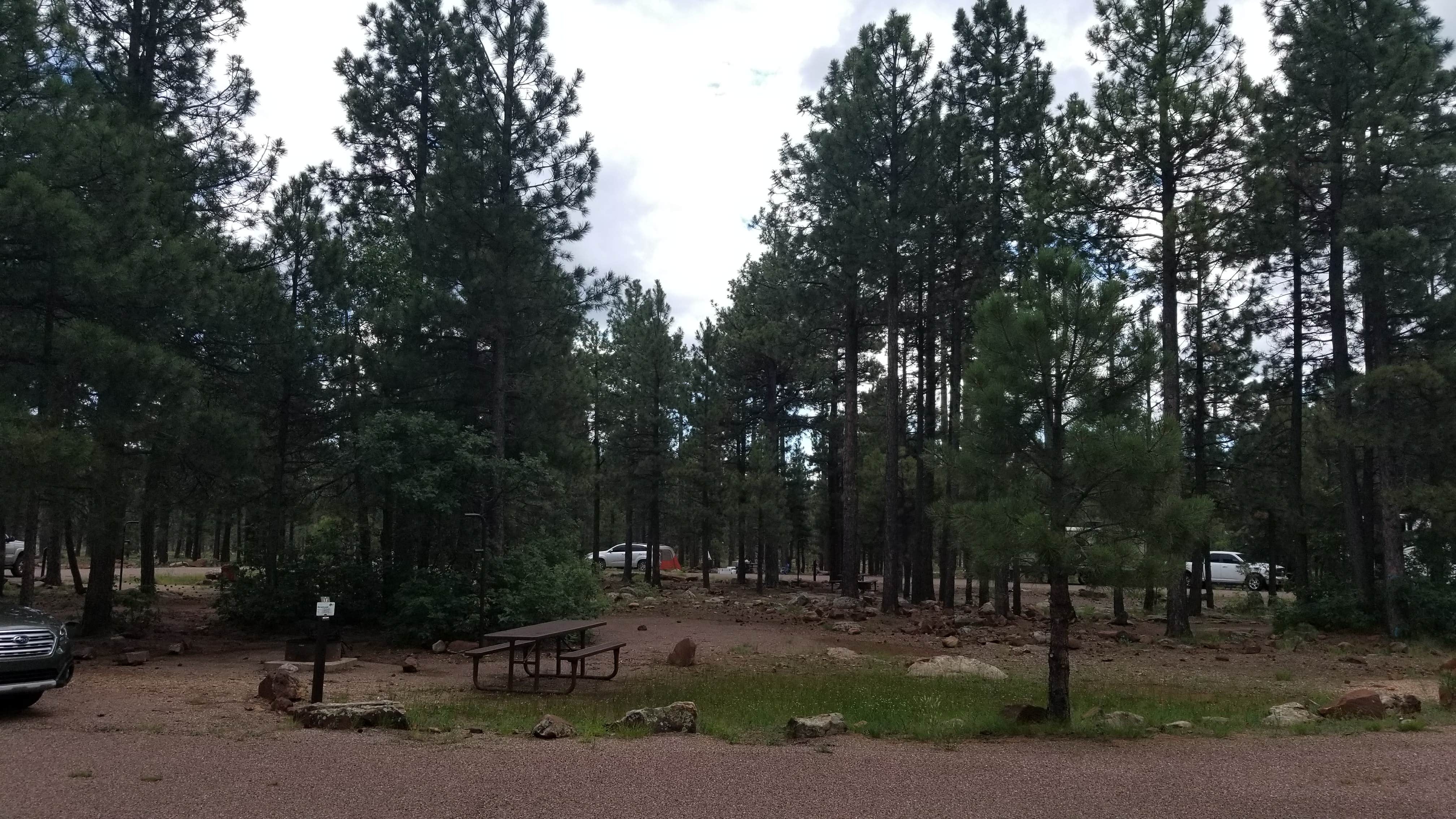 Camper-submitted photo at Rim Campground near Forest Lakes, AZ