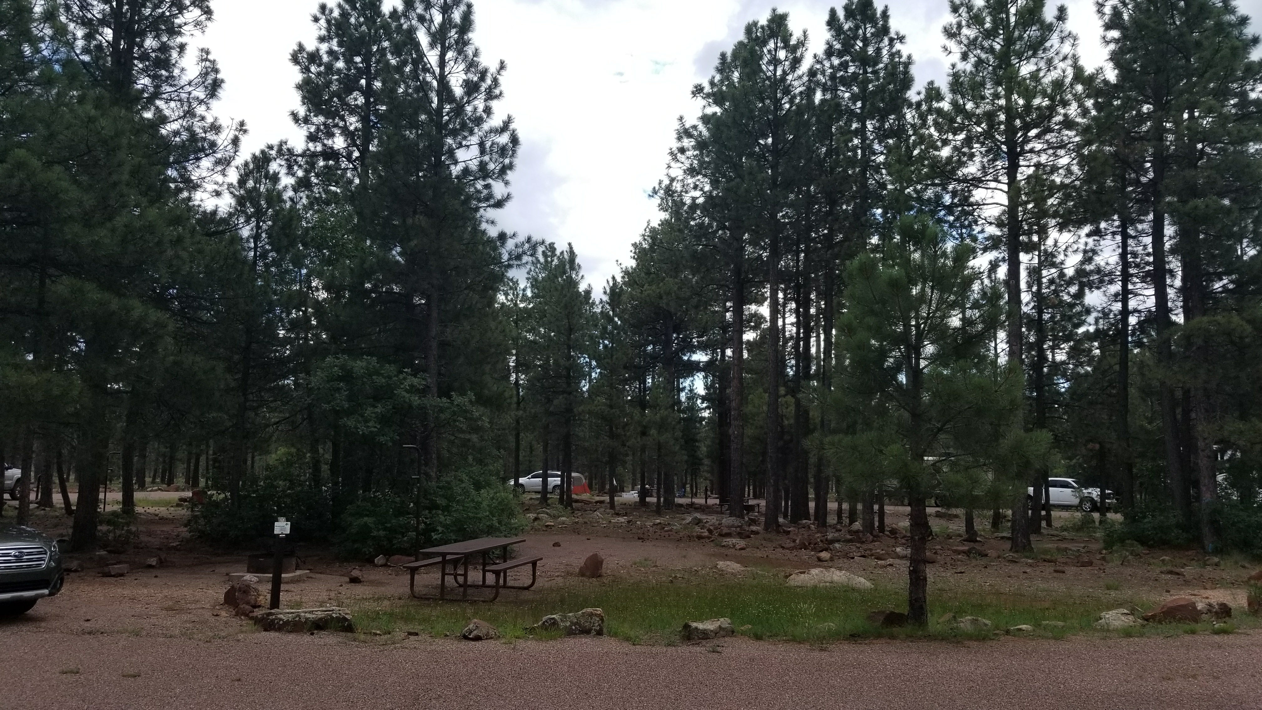 Camper submitted image from Rim Campground - 2