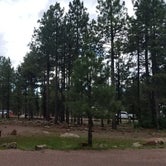 Review photo of Rim Campground by Shaun S., August 7, 2017