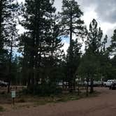 Review photo of Rim Campground by Shaun S., August 7, 2017