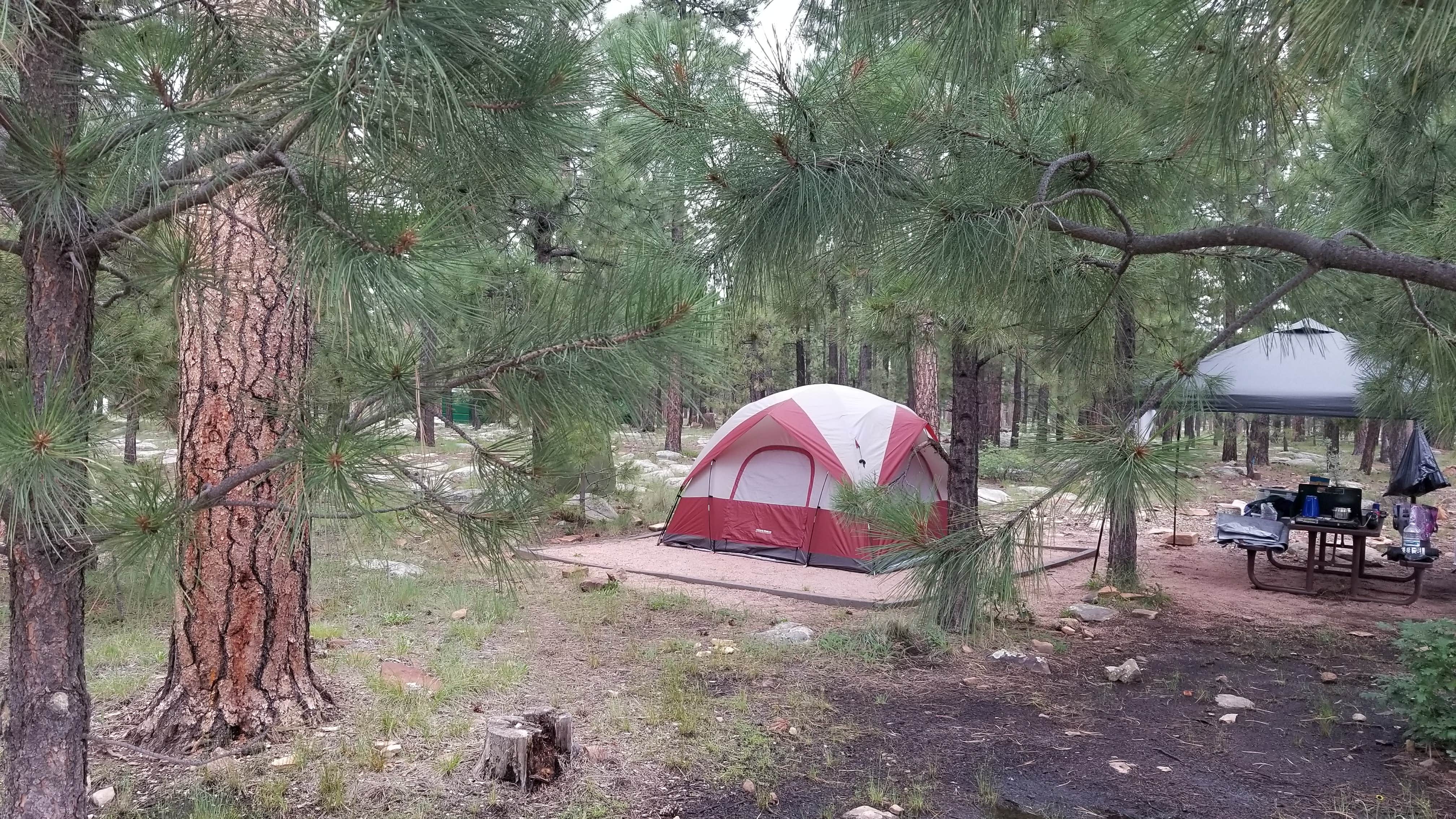 Camper submitted image from Rim Campground - 4