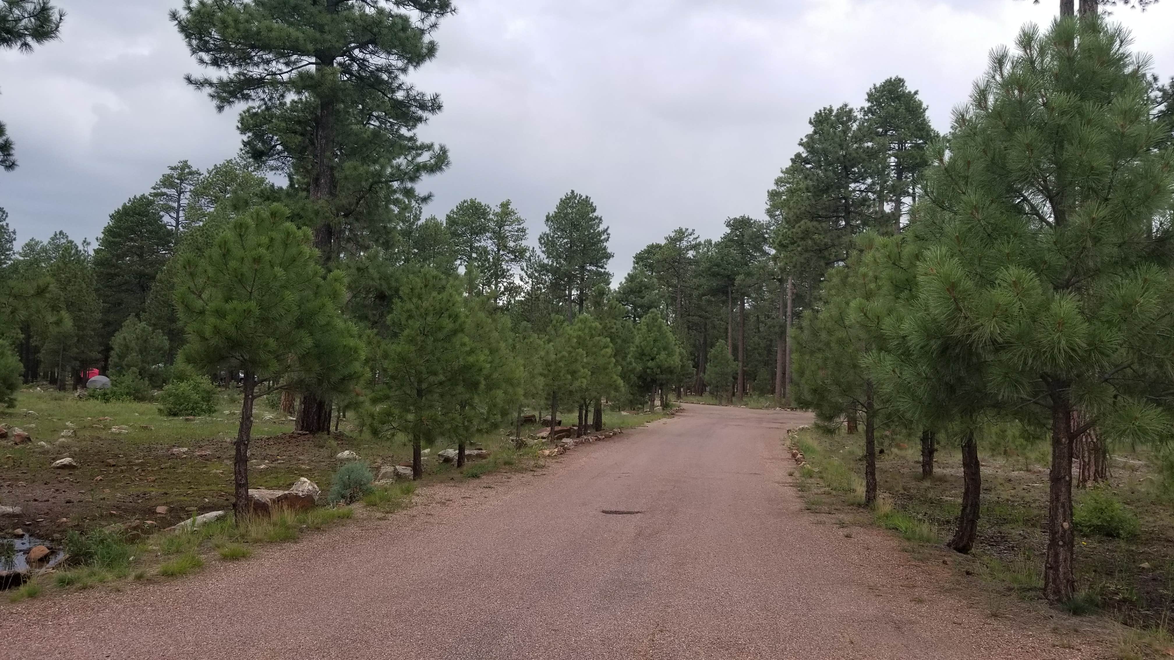 Camper-submitted photo at Rim Campground near Forest Lakes, AZ