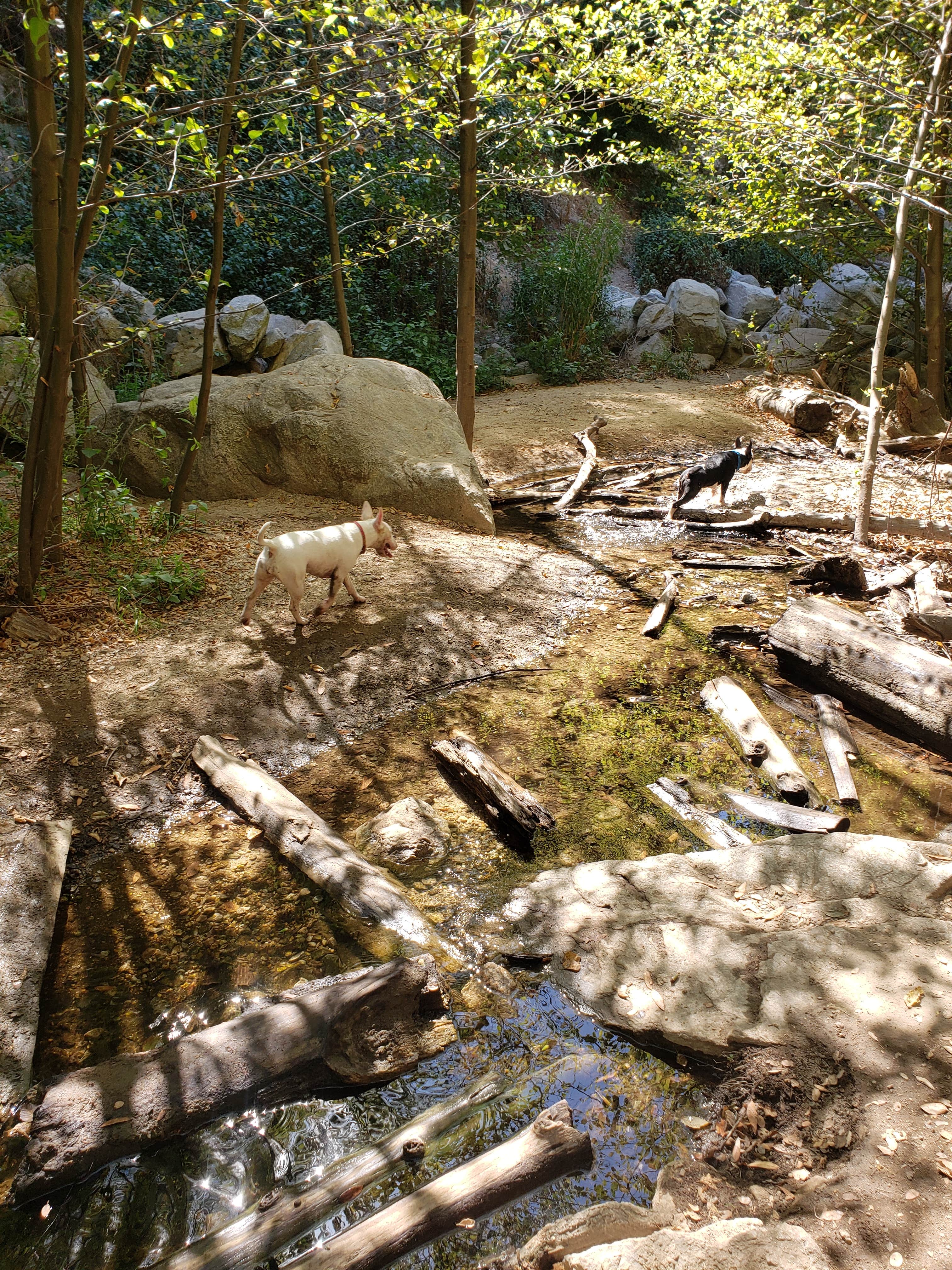 Camper-submitted photo at Millard Trail Campground near Lancaster, CA