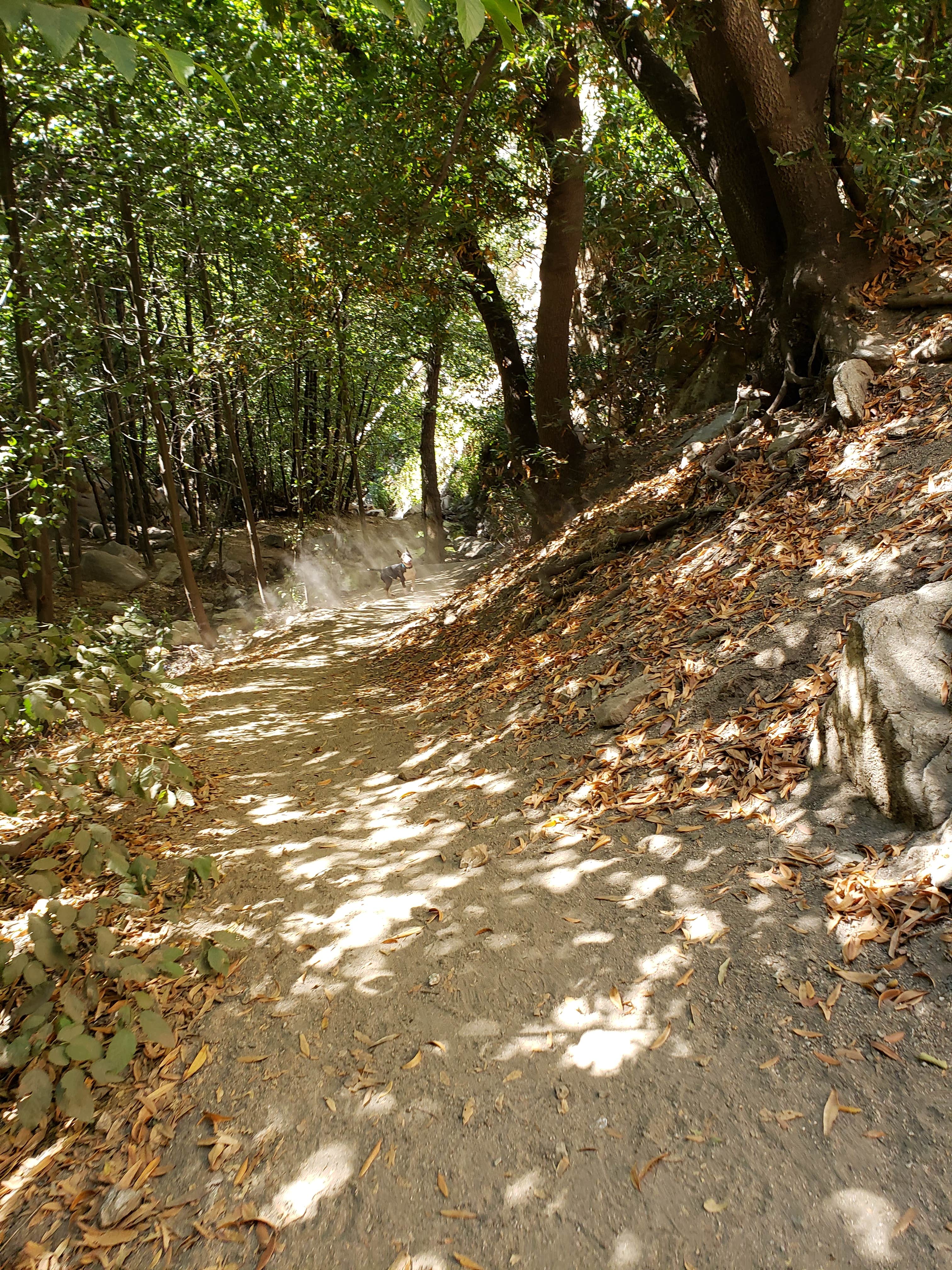 Camper-submitted photo at Millard Trail Campground near Lancaster, CA