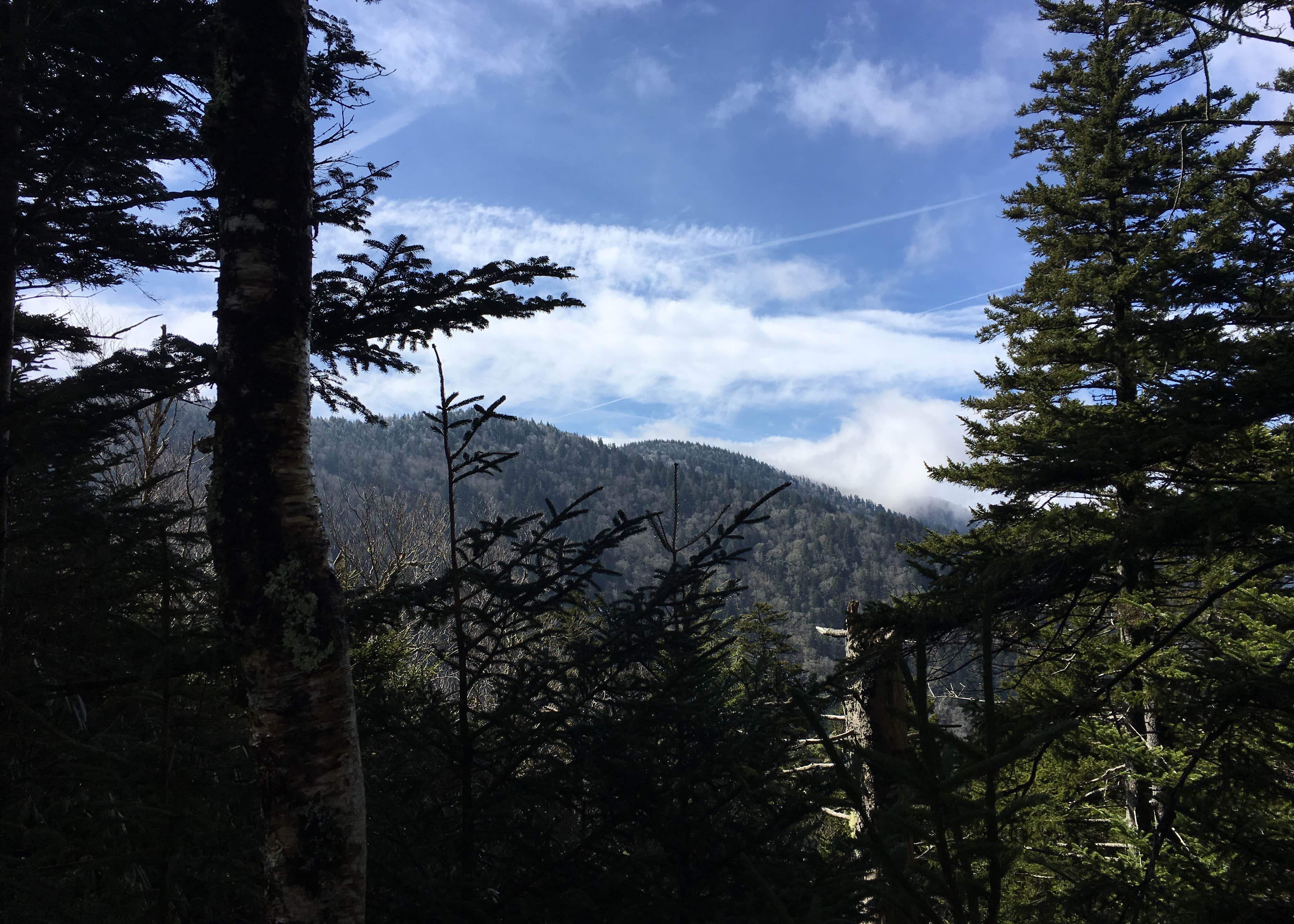 Tricorner Knob Shelter Camping The Dyrt