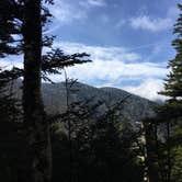 Review photo of Tricorner Knob Shelter — Great Smoky Mountains National Park by Bill S., August 7, 2017