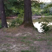 Review photo of Saco River Camping Area by John F., September 15, 2019