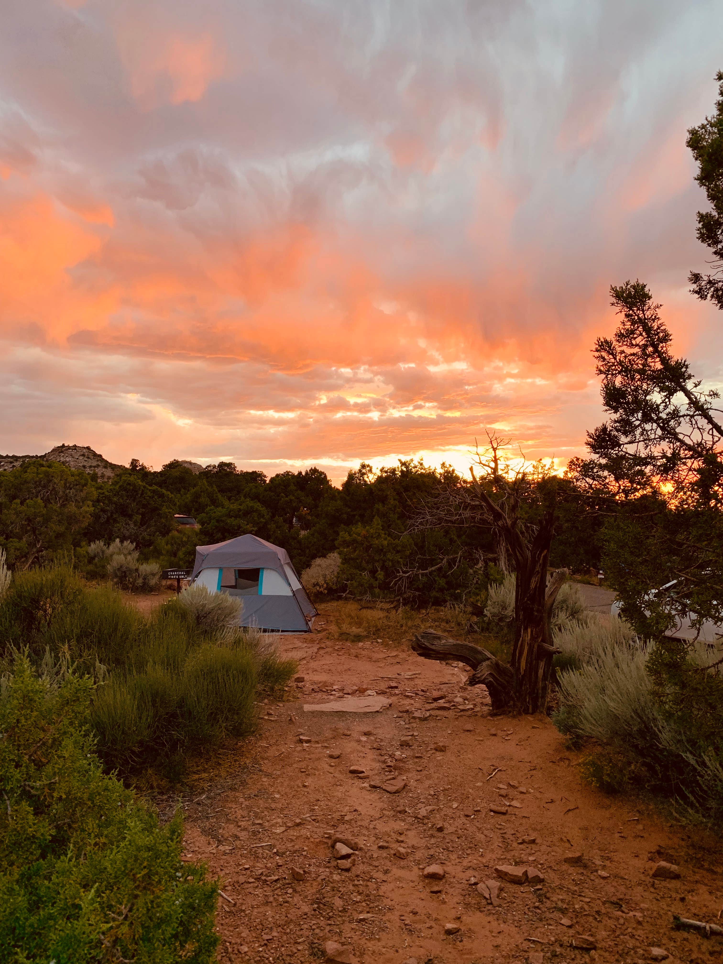 Meredith  S.'s photo at Saddlehorn Campground — Colorado National Monument near Palisade, CO