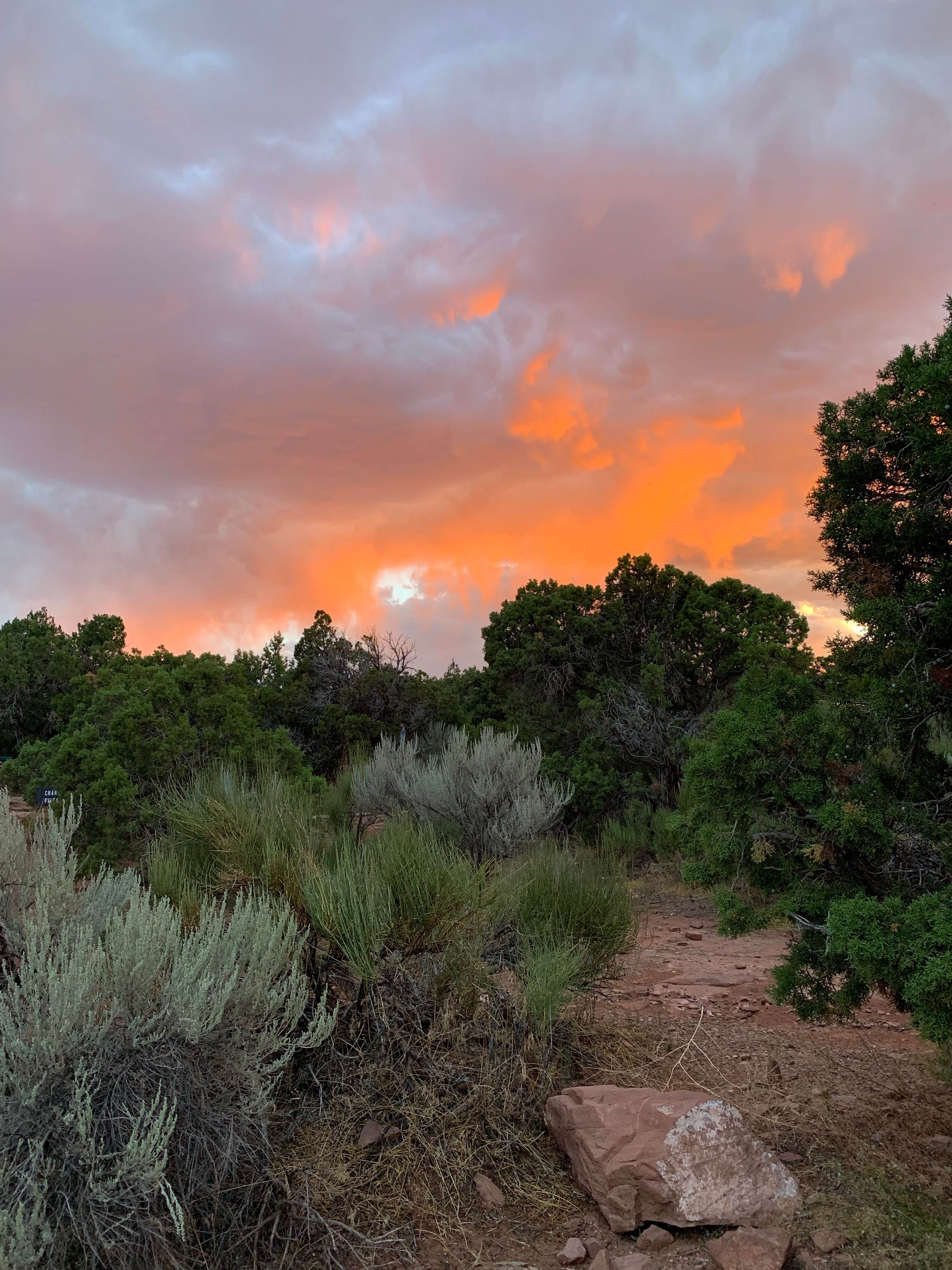 Saddlehorn Campground — Colorado National Monument