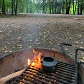 Review photo of Brunet Island State Park Campground by Gerald B., September 15, 2019